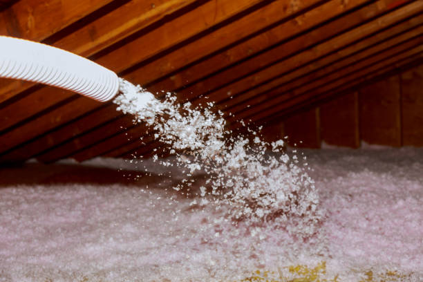 Best Crawl Space Insulation  in Geva, NE