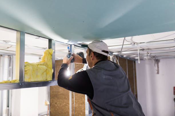 Best Insulation Repair Services  in Geva, NE