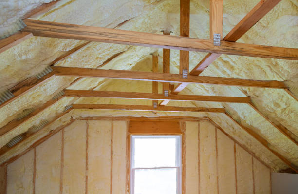 Best Spray Foam Insulation  in Geva, NE