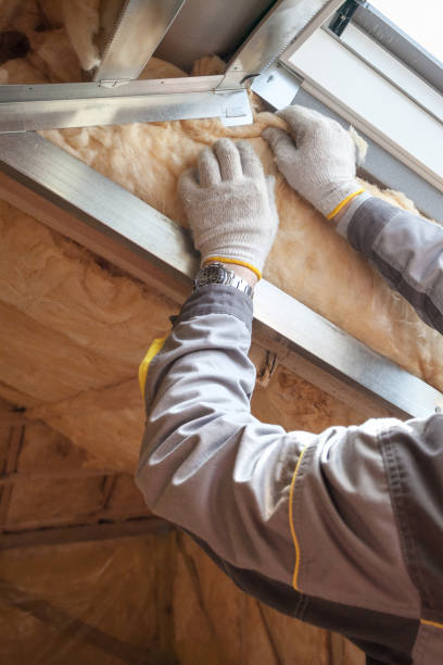 Best Local Insulation Services  in Geva, NE