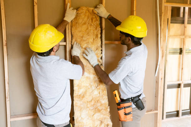 Best Insulation for New Construction  in Geva, NE