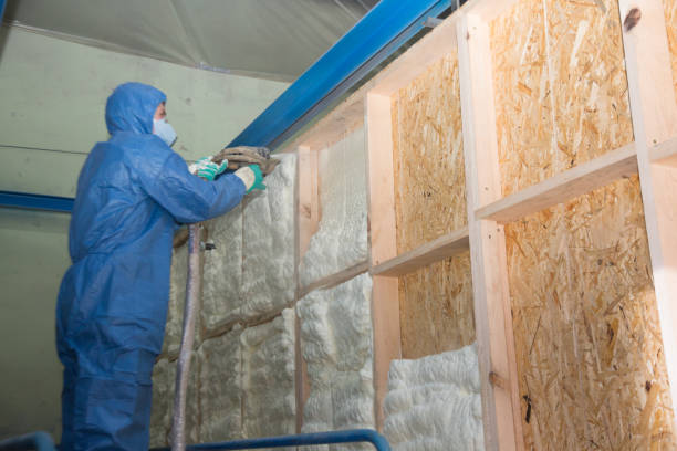 Best Residential Insulation Services  in Geva, NE
