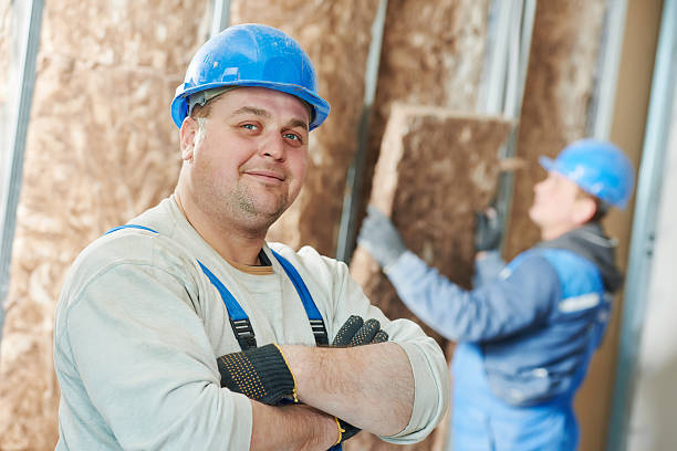 Best Insulation Replacement Services  in Geva, NE